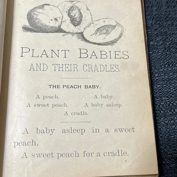 First Edition (1898) “Plant Babies and Their Cradles”, Educational Pub. Co. - Picture 3 of 15